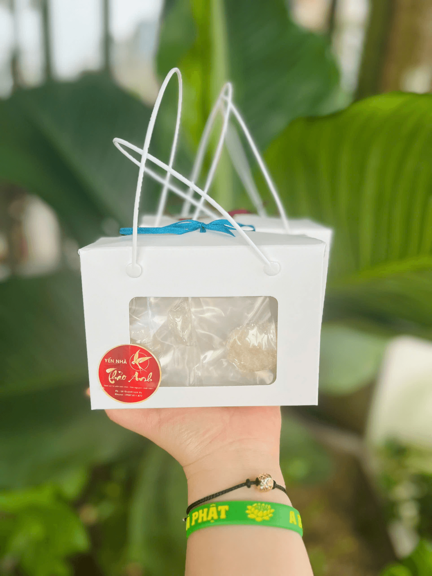 Set yến chưng 10 viên